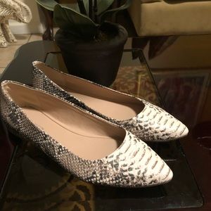 Animal print flat shoe point toe..BCBGeneration..